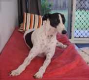 Max 2025 09 17 105437